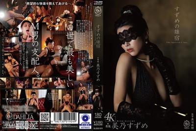 DLDSS-519 雀之雄舍 美乃雀