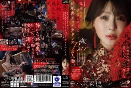 DLDSS-509 一個孤獨男人的慾望的出口…後巷華服酒吧裡的已婚女人。距離令人震驚的回歸已經過了兩年。美麗更加閃耀。小澤奈穗